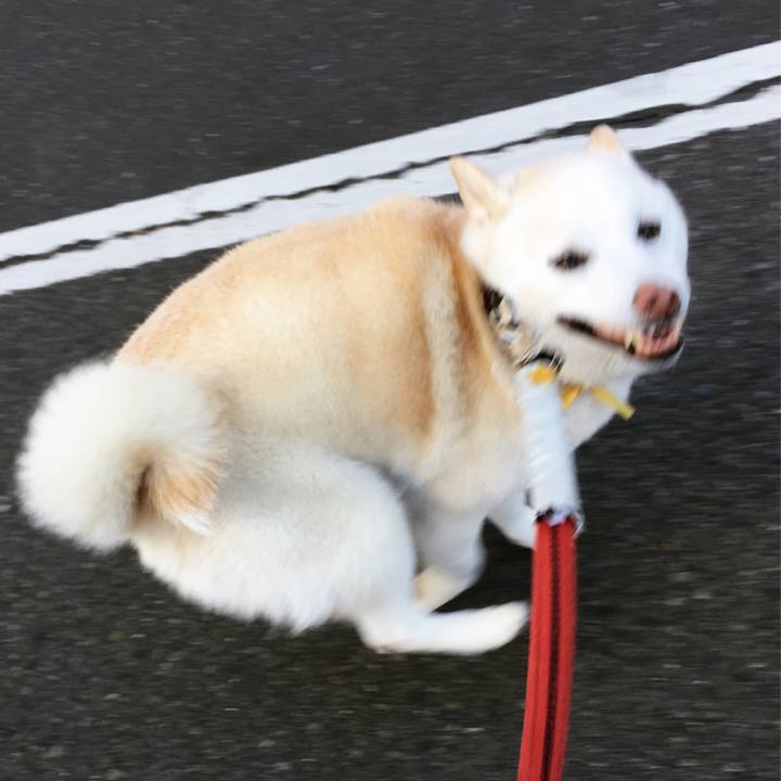 5055f431 231c 4ec7 89f4 9032c0da107c