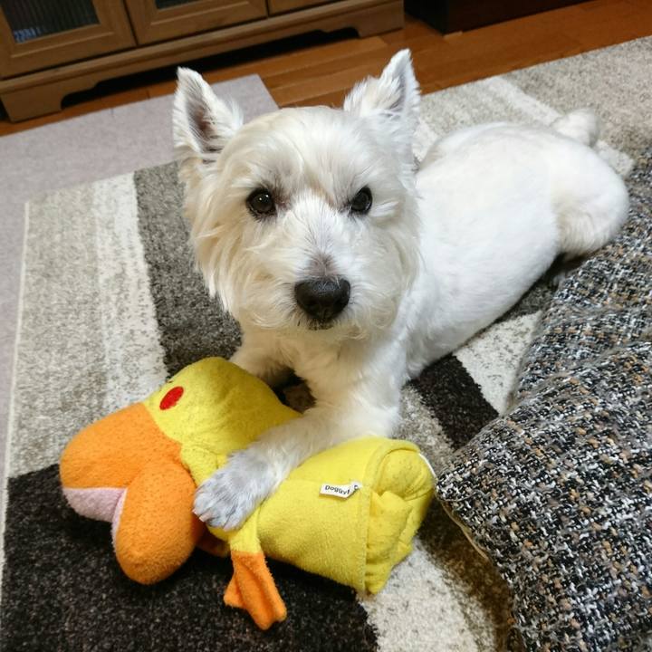 5057b5c7 6ab8 4e81 aac3 8c48c0636bd4