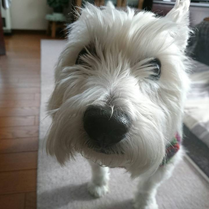 5057b6c8 7f22 4f90 bfa3 15467fcdc1a7