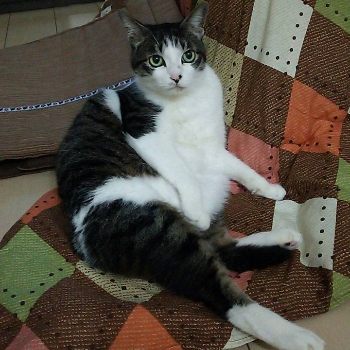 5058654a 368c 445f bef4 8ddf730e598a