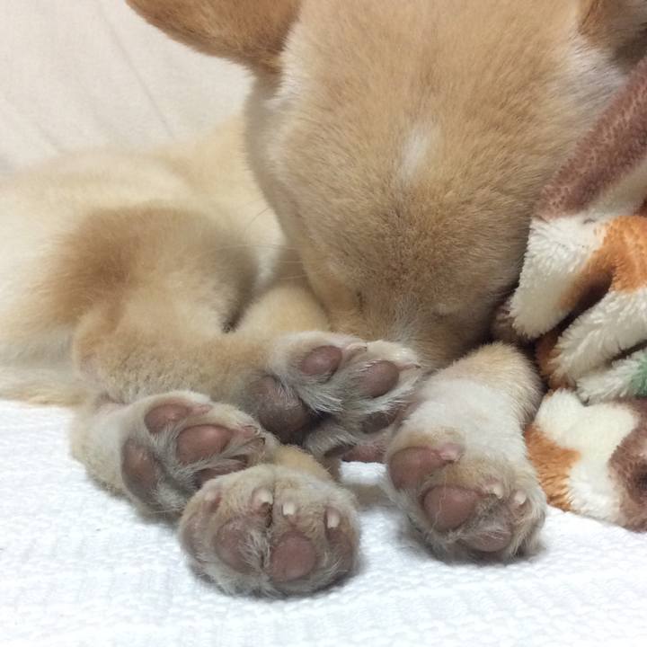 505a76dc dbe6 4a4f 9286 7e5d2ac36e36