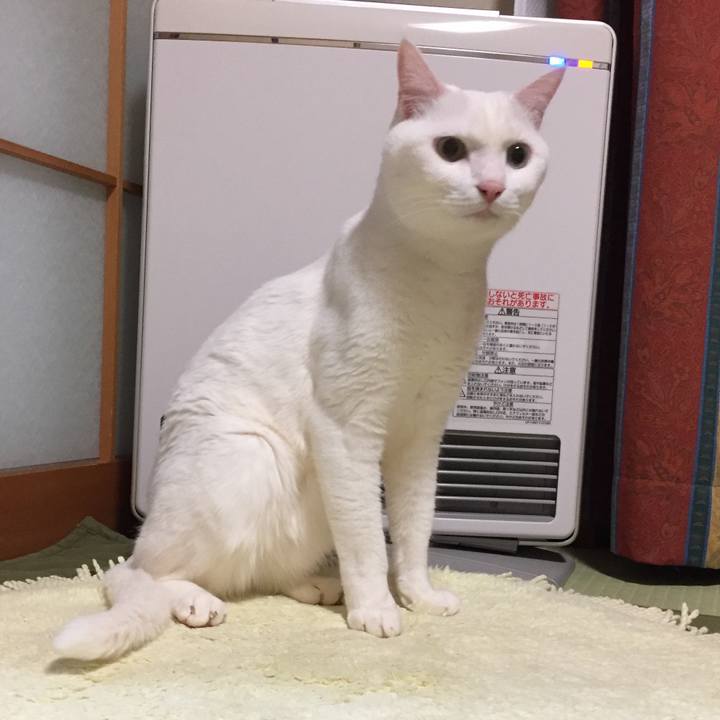 505ac66d 1491 4b6e 9eaf 1ba39b117a27