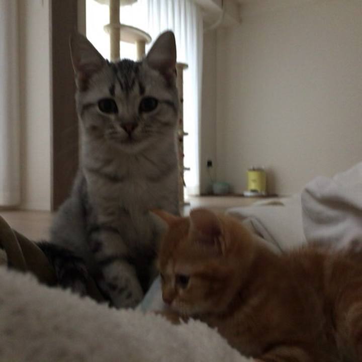 505ae8b6 7d71 4691 8b0b cf58cd1e5e9b