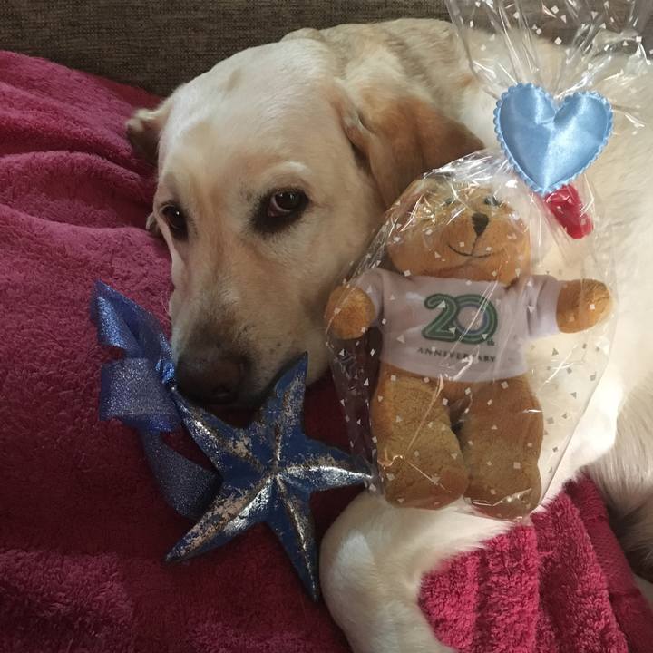 505aeba2 f08a 462b af28 03bd77949a15