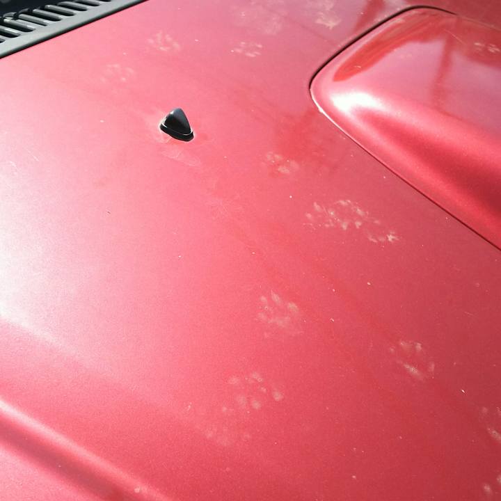 505afc8b f9c6 4fb3 966a 34caf2ba88e0