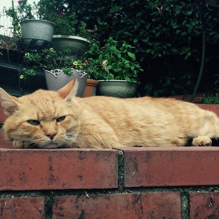 505b038c da00 4f3b b061 cd081d0a00eb