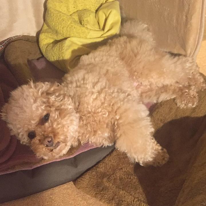 505b7498 5545 4c25 a111 906ef214b125