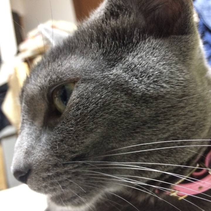 505c1924 f019 4ab8 85c1 28fcd987948b