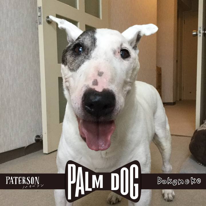 505c3db9 2887 4b2d a3d8 f85e49fba1b3