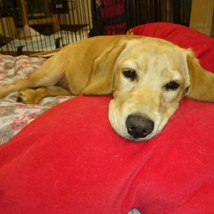 505c5403 04bf 4b6e 9351 f3201a577319