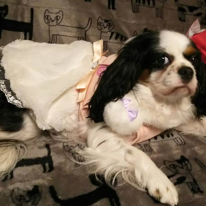 505c6def 5927 447b 9825 f6322a2ce140