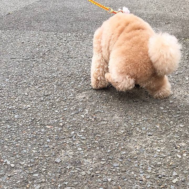 505d1433 dda9 4a35 9232 f7f8f7220b39