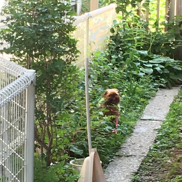 505d317b bacd 4f8b 939a ab9a6ad8a86a