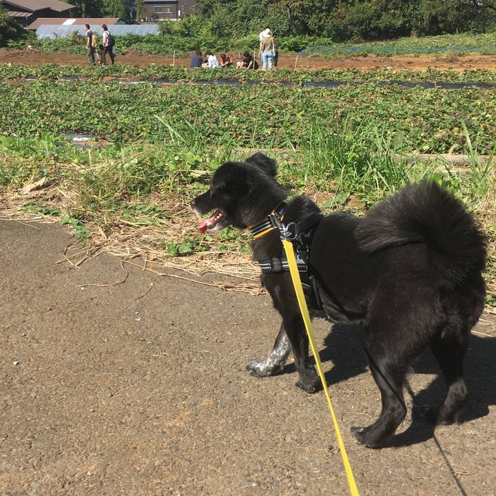 505e4ead 92c9 42a5 8f90 49b01102bff7