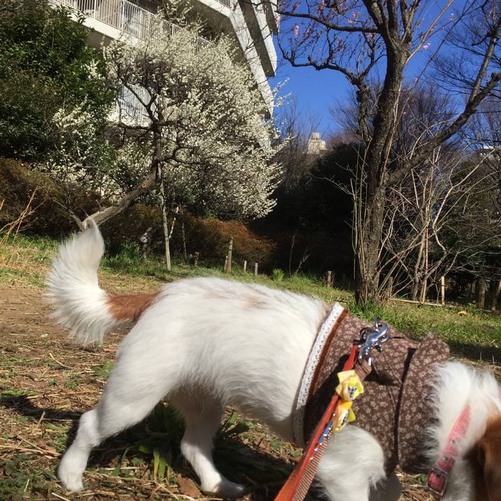 505e79b7 d5de 4107 a983 49cf08978476