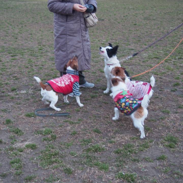 505ecd80 3ad1 411a 9ebc 077288a5b43d