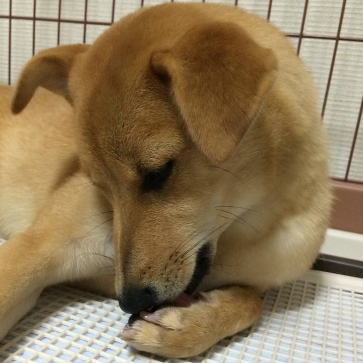 505ef904 c2c7 4b1e a69b 8693681eac77