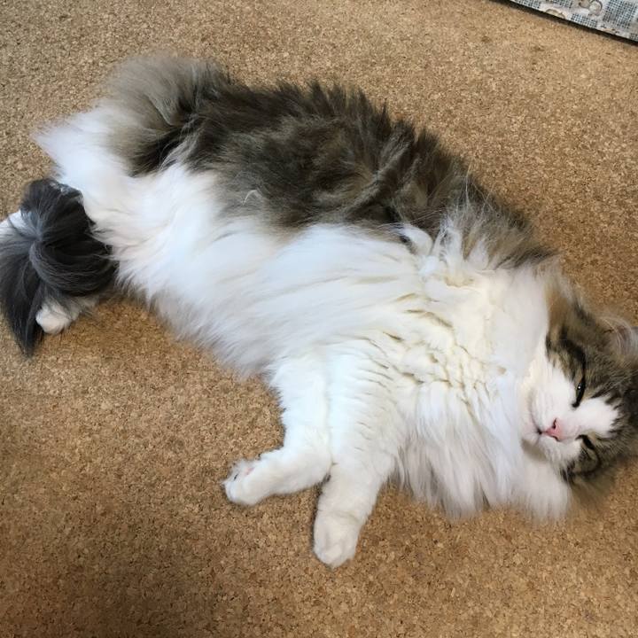 505fe13e 666b 44f4 91bb ef0ebdf71426