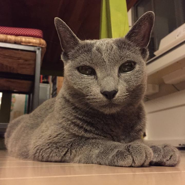 505ffbff 2967 4999 940a f6adbef36487