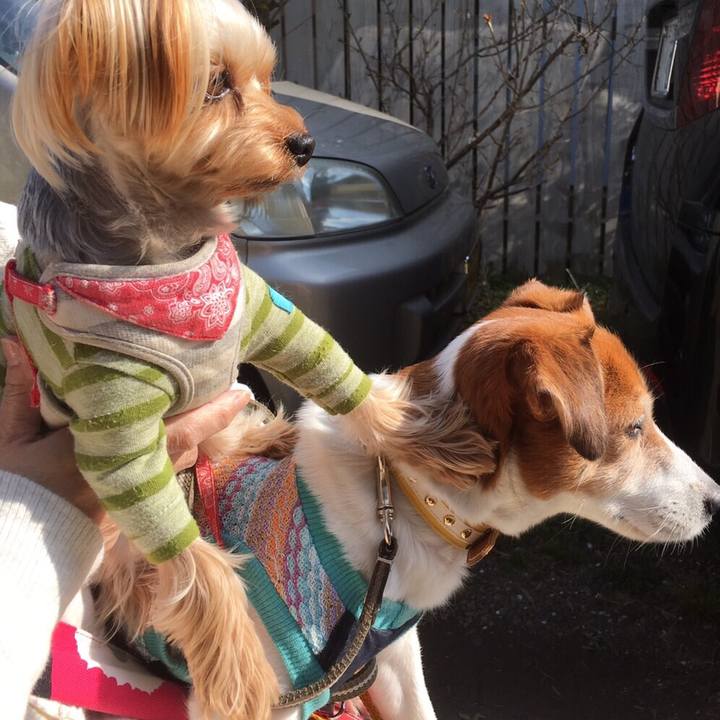 50603e33 8036 404f ae94 b9964db00001