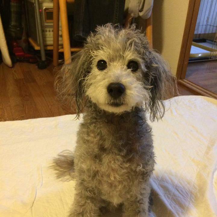 50608333 48a1 4ed5 ace5 b98927fe2e3d