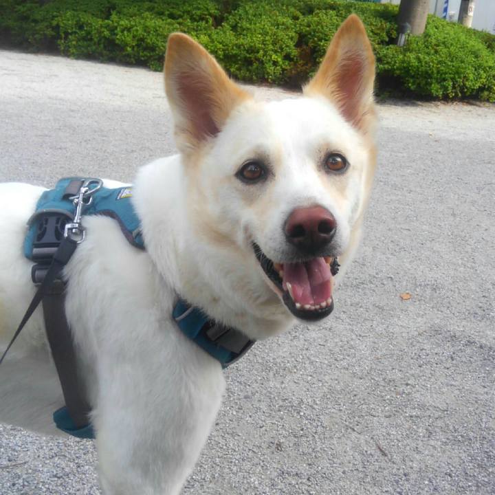 5060d3d5 821a 4967 b555 44cdbf4cc59e