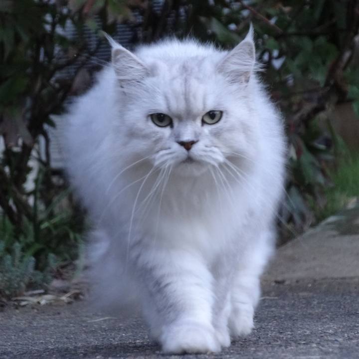 50611275 b0a2 4539 9bca 44ee896e6534