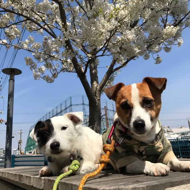 506133b2 0c51 4fc5 883c e9e68e8da828