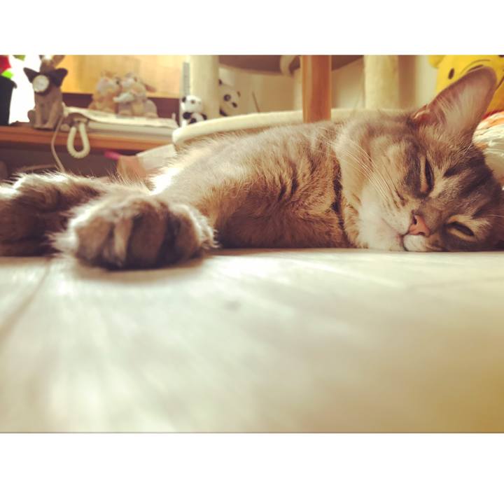 50613574 f19e 45c7 bc58 89b562aac57e