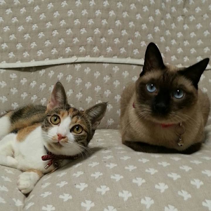 506151f2 f700 4acb ae39 59b813156acc