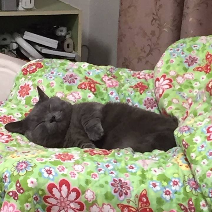 5061bc4e d138 49d7 94d7 010686b2e6e8