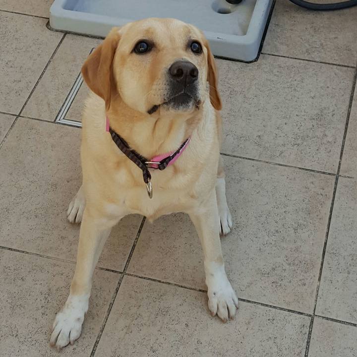 5061edaf d6c8 453d b48c 73ee0b0098d6