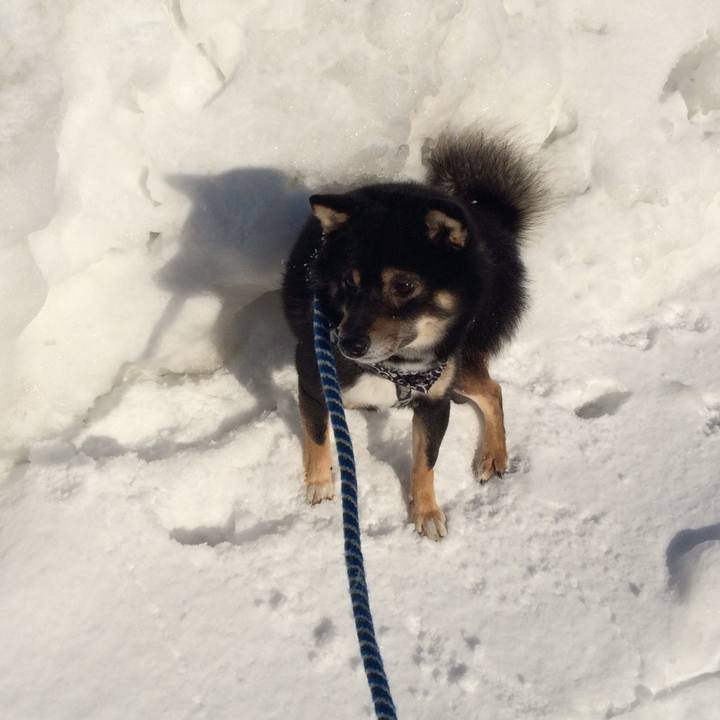 50624906 9d4d 4664 bfe0 bba6349b2549