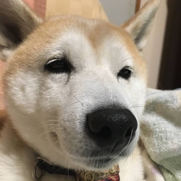 50625bf0 ecc5 4b83 b9f1 8d174ccfc117