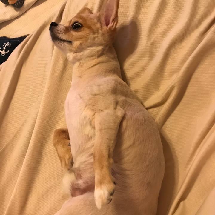 5062abb1 5d40 450b 91d0 17e3f7721525