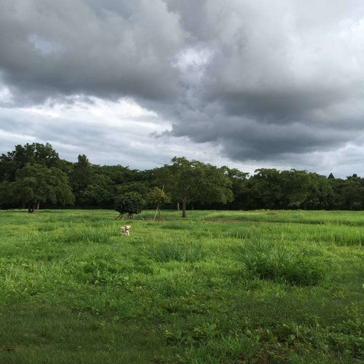 5062cc14 d408 495f a3ea 8442a40f4ad9