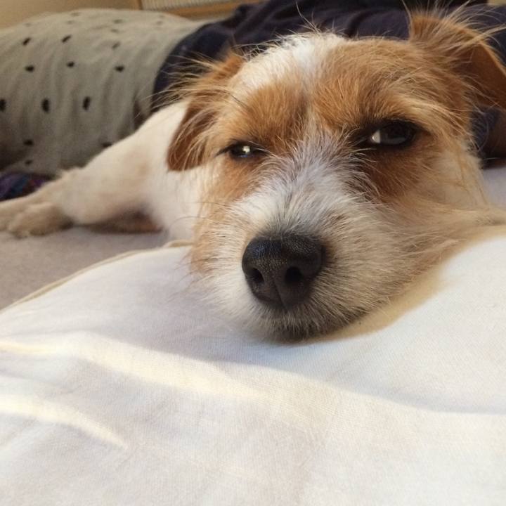 506313e7 2f5a 4478 a15e 92cca9cc79a1