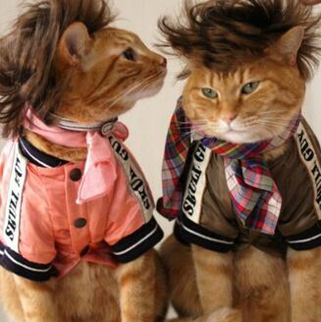 50636564 4952 48d0 9fce e46804a6455f