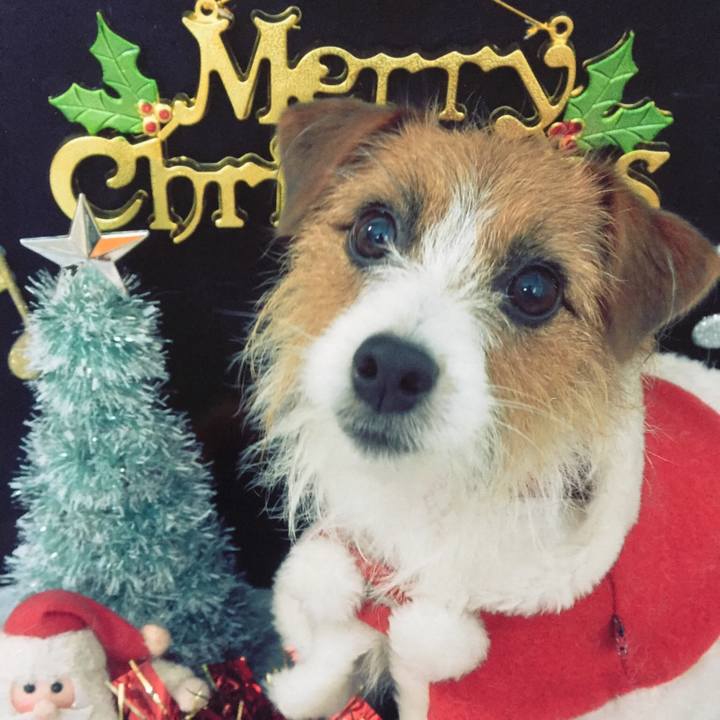 5063b19b b9ba 4029 9870 09d357e7a236