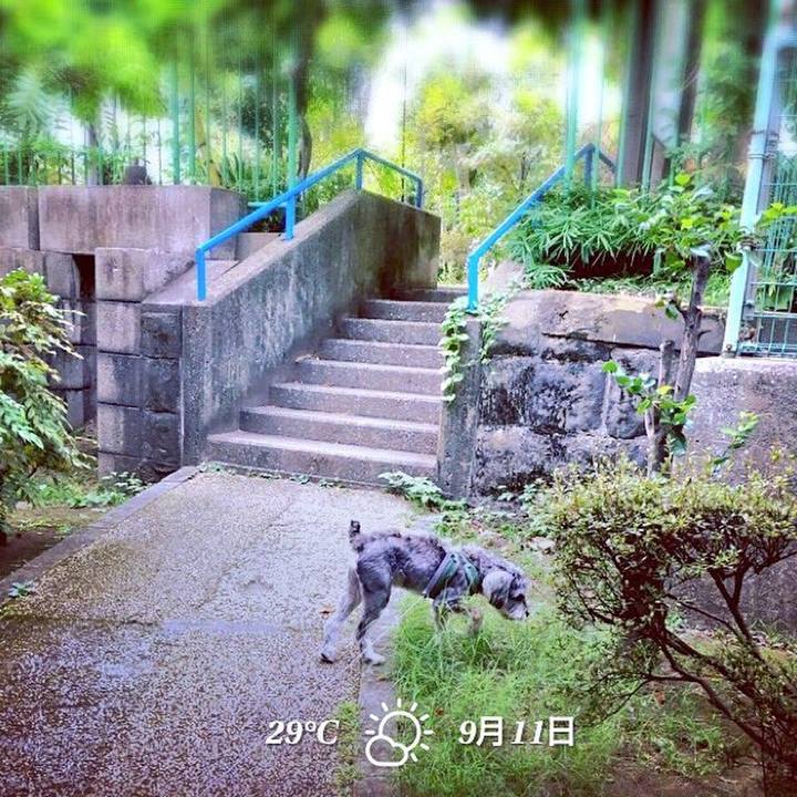 5063c864 8606 4eb2 90b2 3c80c6189749