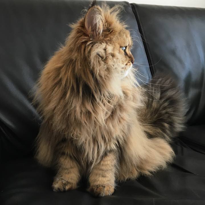 506413a3 4e15 43da bf32 016806910792