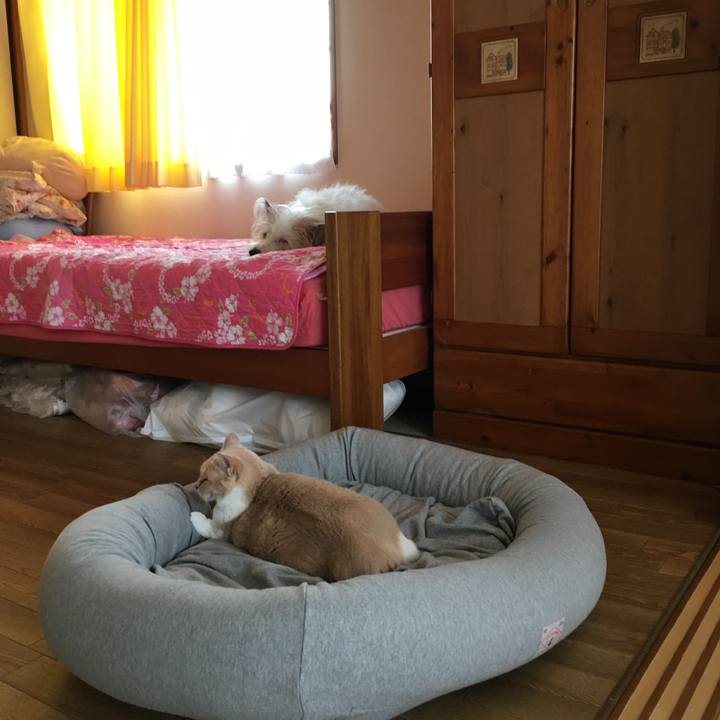 5064427d 95e1 4f5c 9489 f2e058c617d3