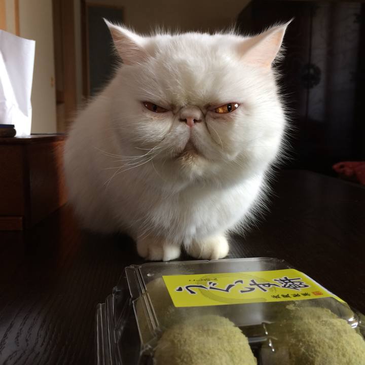 5064a5ce 67b9 4137 8da8 b72ed2eca977