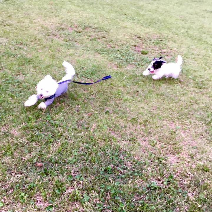 5065252e 4944 42ec ae62 f2812df080fc