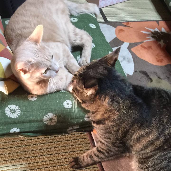 506767b8 b956 4de0 9354 8511374aa259