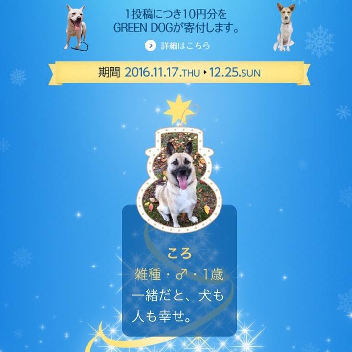 5067b225 dcec 4705 888b 279a1bdbc905