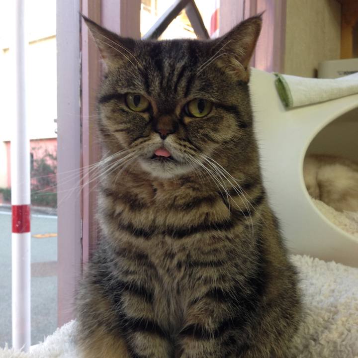 5068429a da67 4800 9b13 894f4487ae88