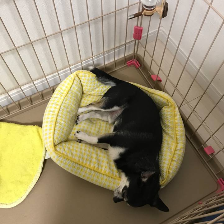 506877b9 3f44 4c47 8a53 e60bee5b436d