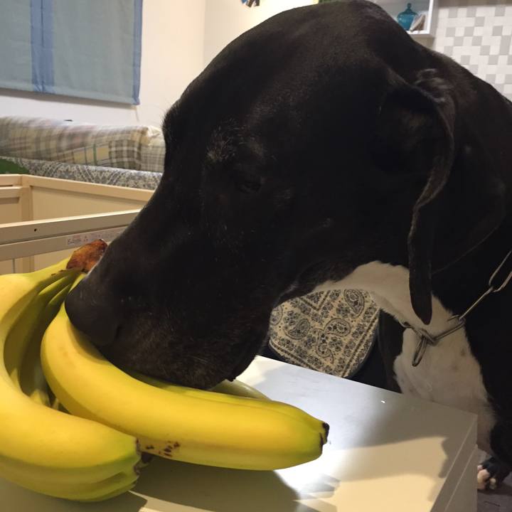 506989b7 7a24 446d 96ba 4d4f2b720f2f