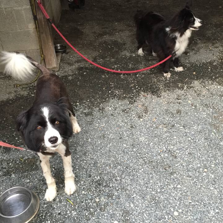 506a3ed9 2f85 41a8 a558 3fc80f4abc87